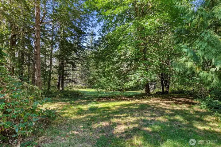 Lower property open area.