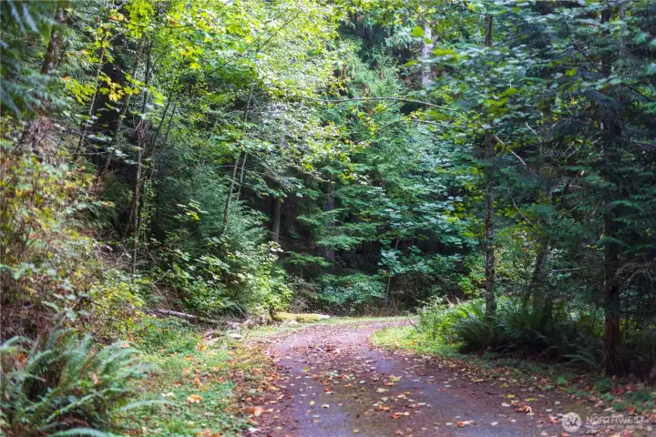 Private drive leading to the property.