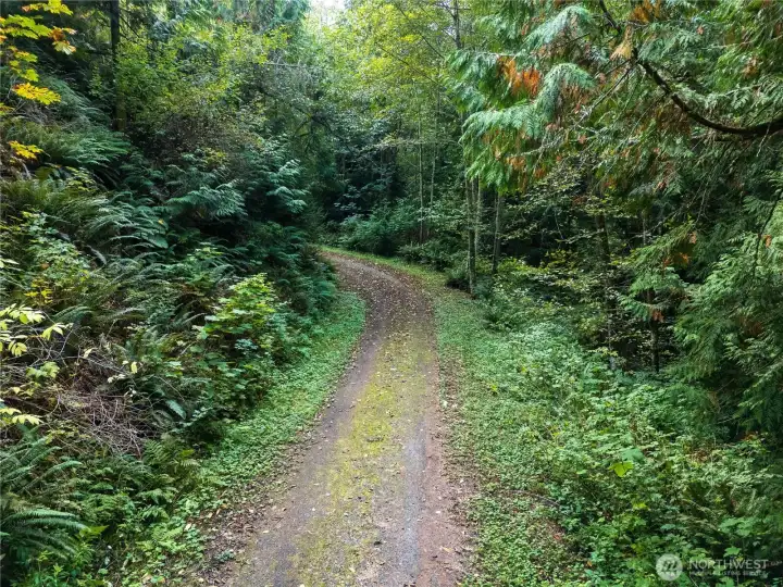 The secluded drive to the build site.