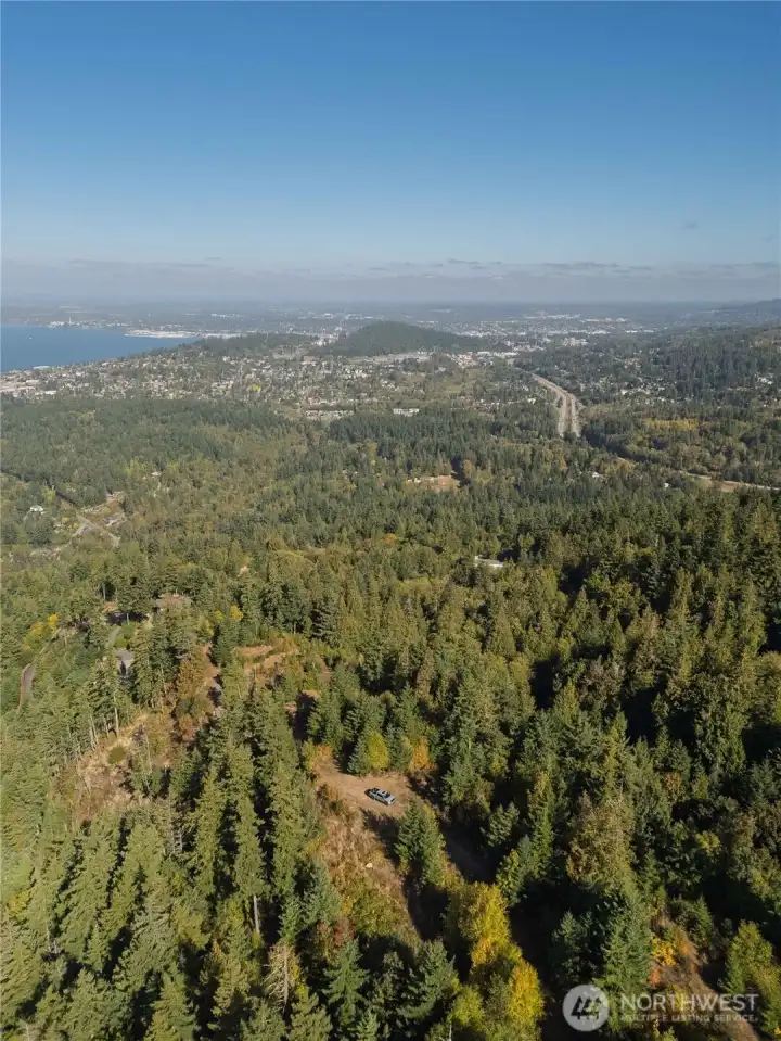 A look from the Southern border of the property looking due North.