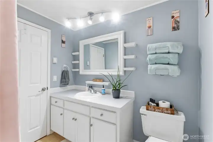 main bath vanity and toilet