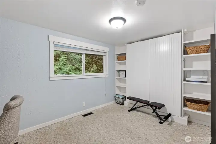 Queen size murphy bed