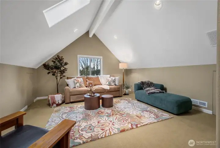 Bedroom 4, here imagined as a family room, the couch folds out to be a guest bed.