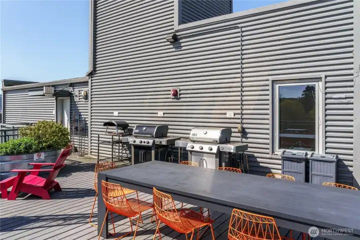 BBQs and Pizza oven