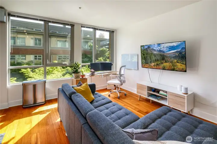 Large windows bring in the light