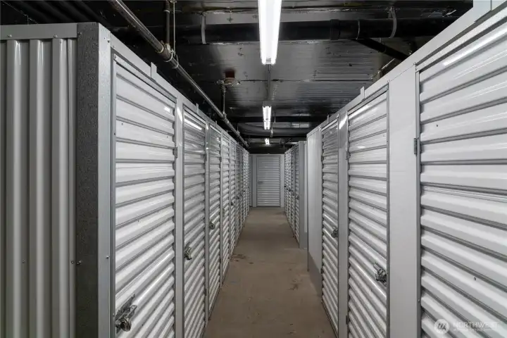 Storage locker on Level P1 #100