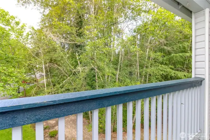 Greenbelt view from the deck