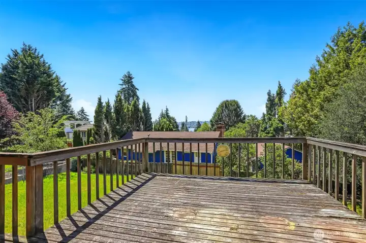 Please don't walk on the deck.  It needs some love.