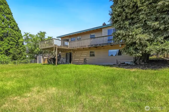 Large Backyard.