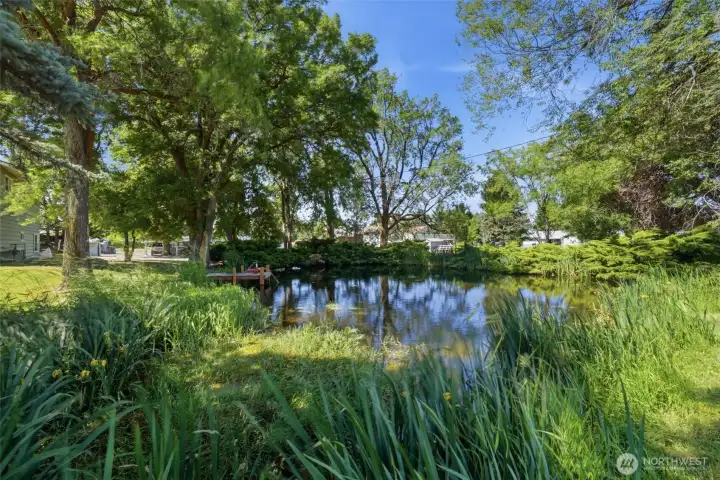 Here is a view of one of the 2 ponds on the property. Here is a view of one of the 2 ponds on the property.