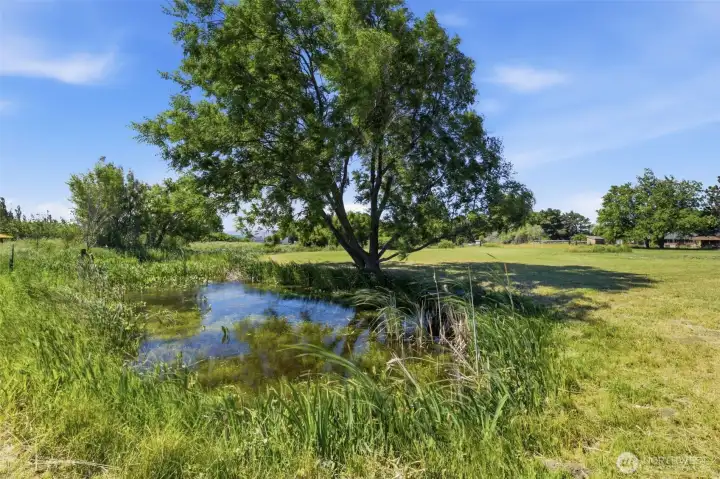 Here is a view of the 2nd pond on the property. Here is a view of the 2nd pond on the property.