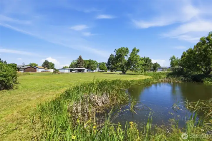 The natural beauty from the 2 ponds makes this property so special. The natural beauty from the 2 ponds makes this property so special.