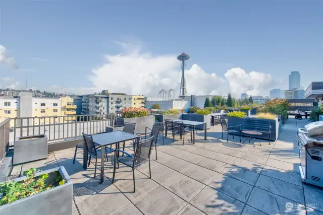 Rooftop deck with space needle and water views