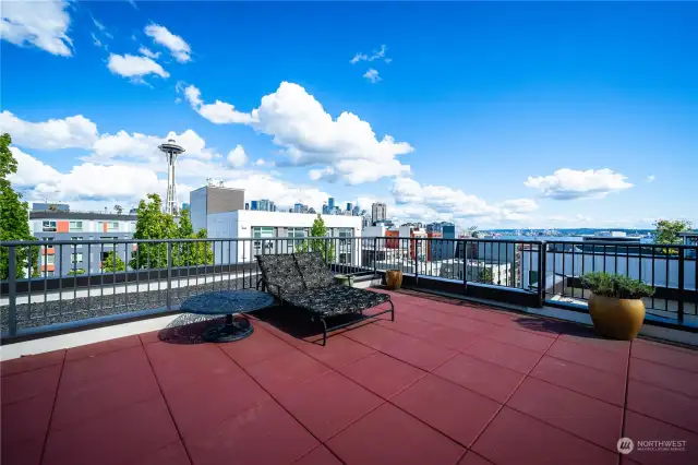 Roof top deck with space needal and Sound Views