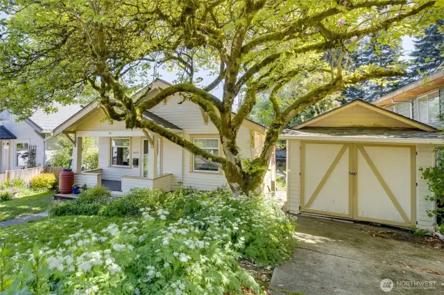 Driveway view