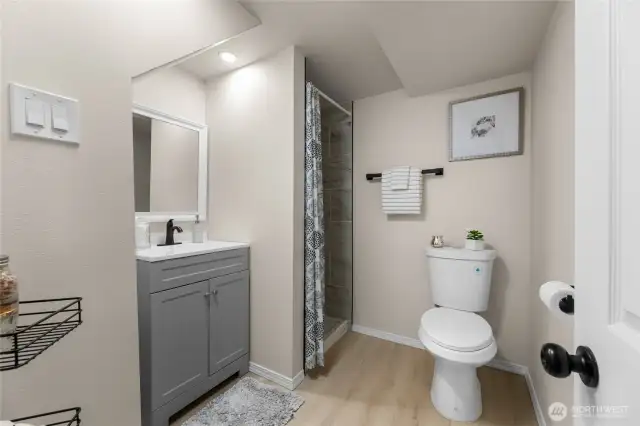 Downstairs 3/4 bath with walk-in shower