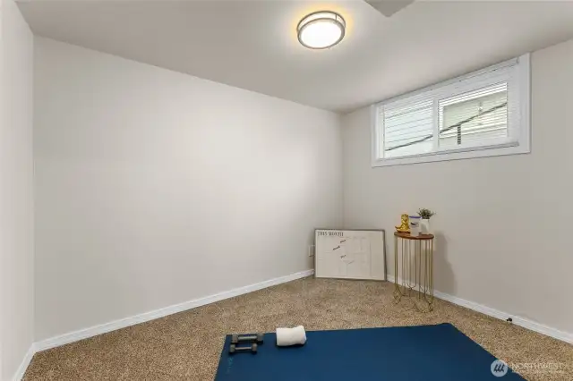Bedroom 5 on lower level