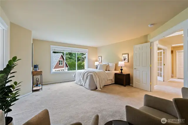 Large window in the primary overlooks the peaceful back yard!