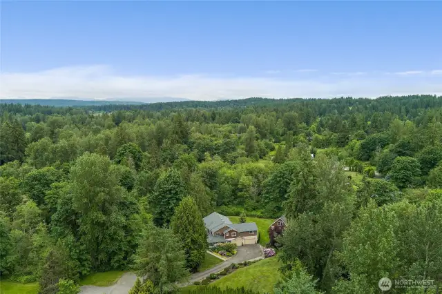 Conveniently located for an easy commute to Microsoft, Amazon Bellevue, or Google Kirkland!