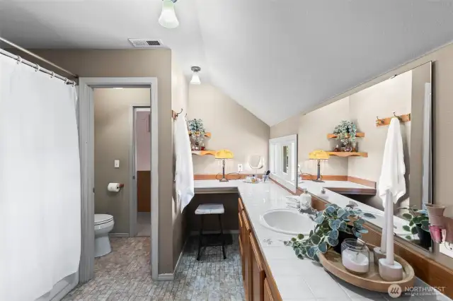 Primary en-suite has plenty of counter space and natural light