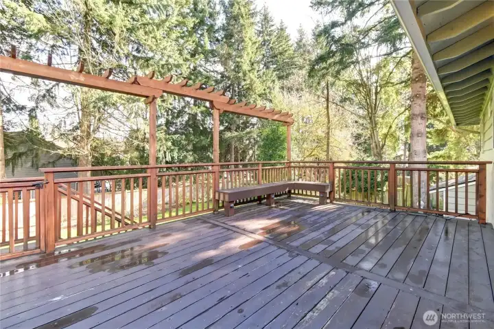 Beautiful entertainment-sized deck constructed of Brazillian Walnut/Ironwood w/ stairway to rear yard & recessed lighting.