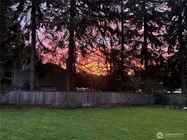 Morning sunrise from the backyard deck!