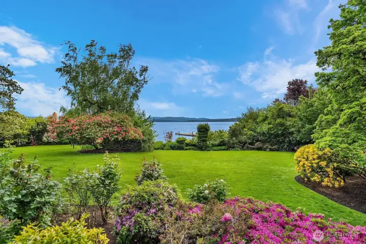 Sprawling lawn