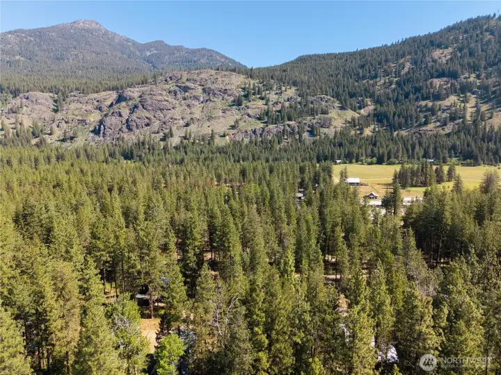 Ideal site for cabin or full-time residence