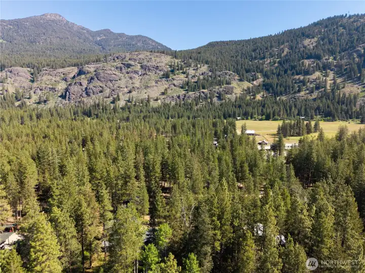 Ski, bike and hike directly from the property