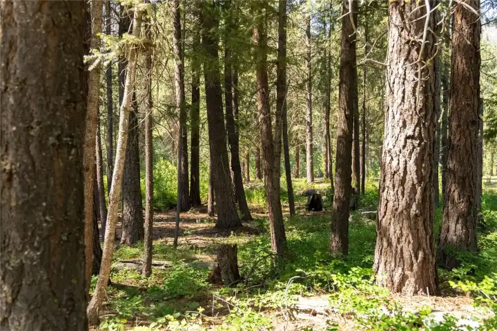Peek-a-boo views toward Methow River corridor