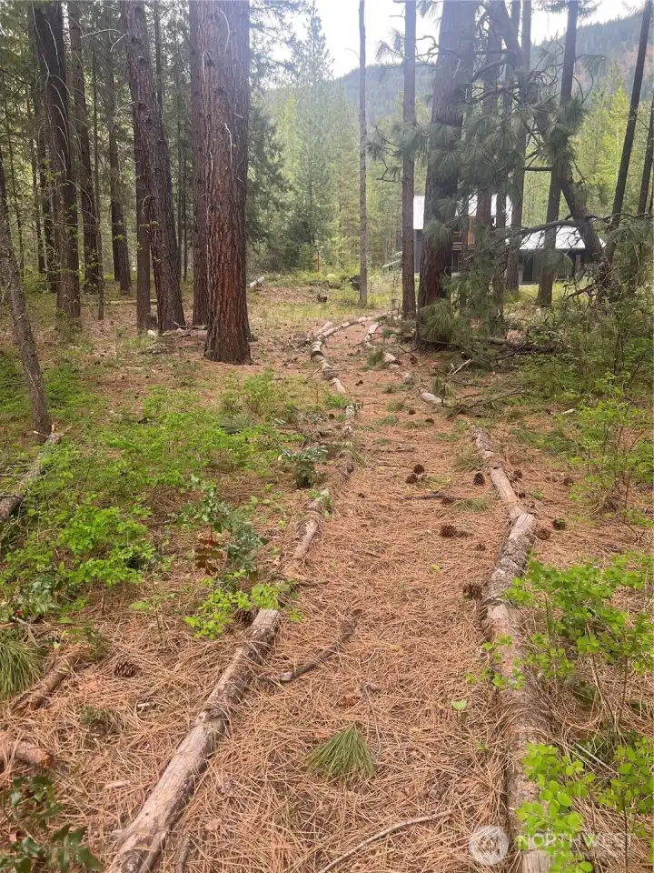 Trail meanders through open space to the sandy beach