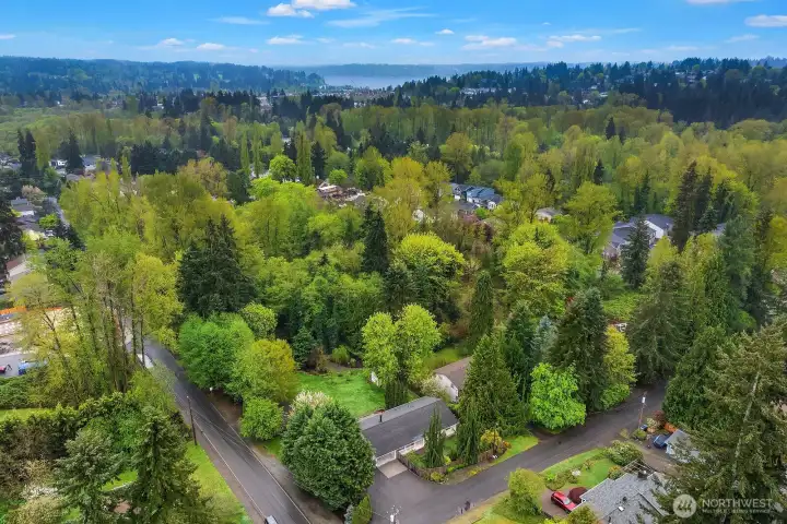 This sweeping aerial perspective captures the property's exceptional setting within a lush, established neighborhood, with the generous corner lot and mature tree canopy standing out as a truly rare opportunity in this sought-after Pacific Northwest community.