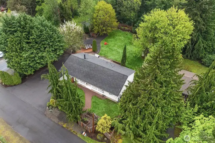 An aerial view zeroes in on the charming outbuilding and its surrounding deck, nestled among mature trees and lush landscaping, perfectly illustrating the privacy and versatility that make this property such a rare and compelling find.