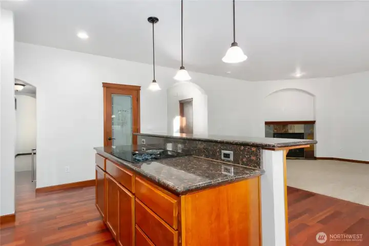 Walk in pantry and great room!
