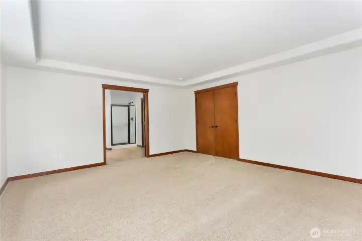 Primary bedroom with tray ceiling