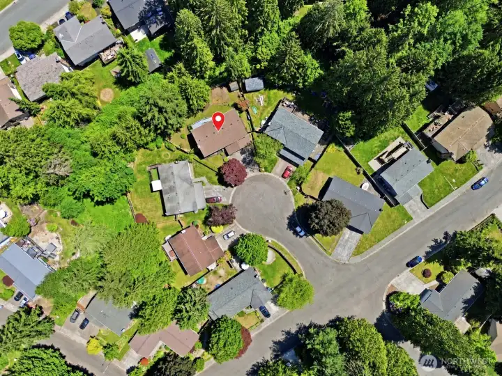 House Drone View