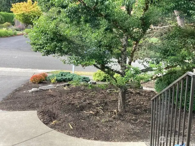 View from the front porch.