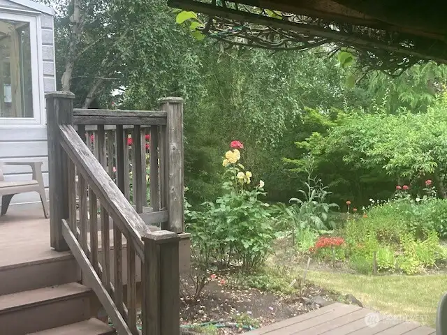 looking off the back deck to the kiwi vine patio area.
