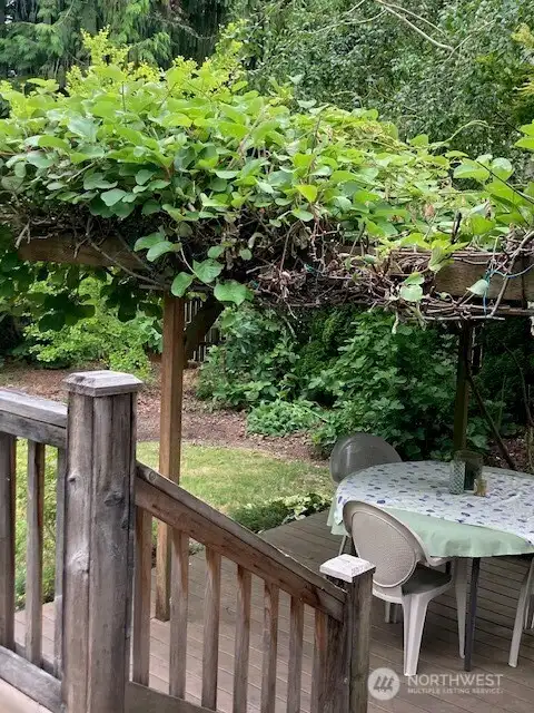 looking off the back deck to the kiwi vine patio area.