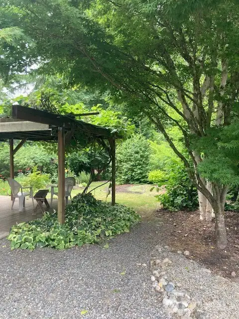 The view from the large space looked towards the kiwi vine patio area.