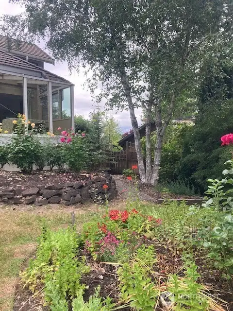 back garden.