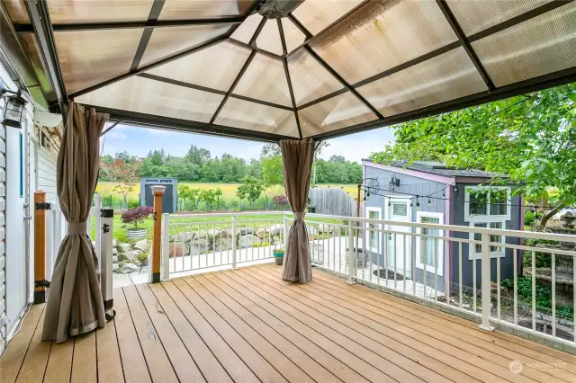 Stunning backyard oasis, complete with covered pergola, fire pit, "she shed"/kid's playhouse/art studio, and garden