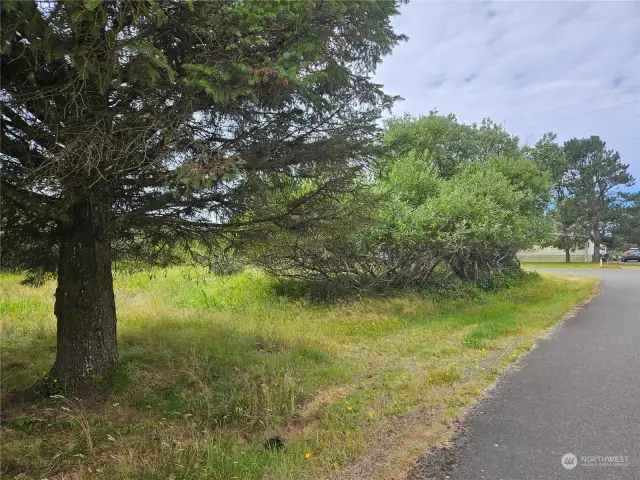 Looking down Birch Ct. towards Canal Dr.