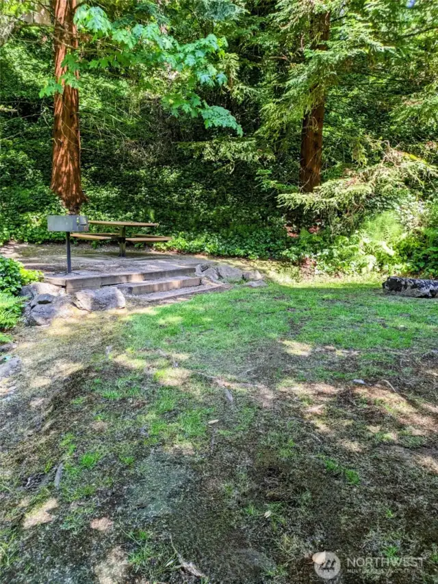Community BBQ area