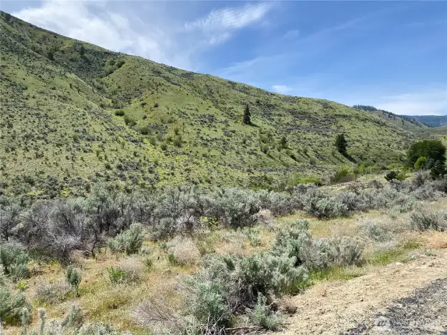 1585 Pitcher Canyon Road. 5.11 Acres