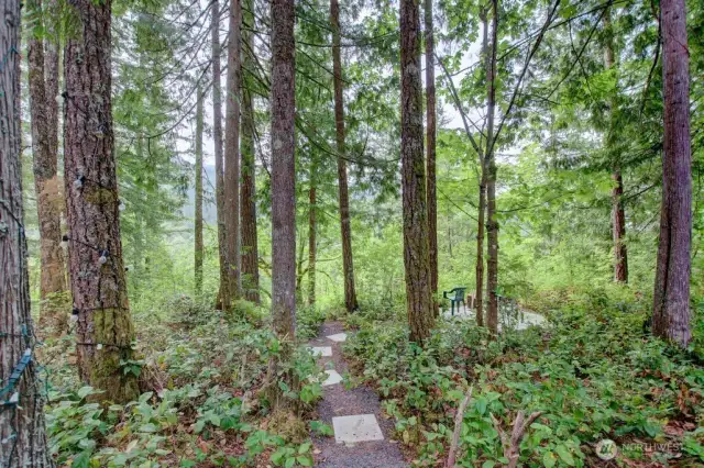 Footpath to view the Nooksack river