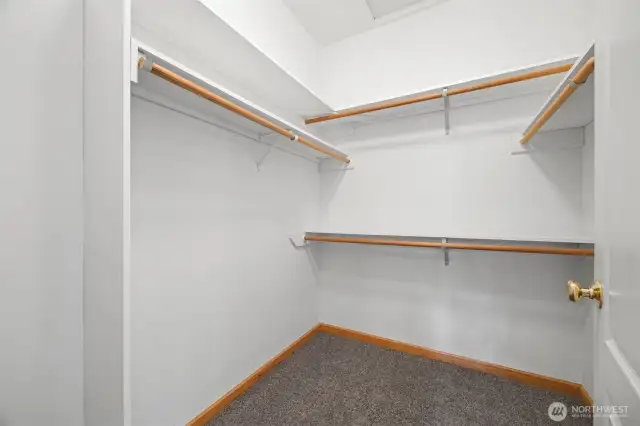 master bedroom with walk in closet
