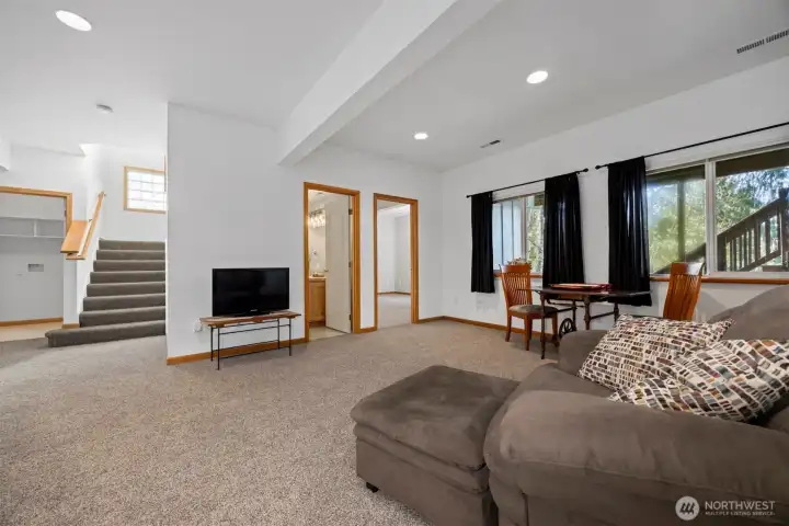 large family room lower level