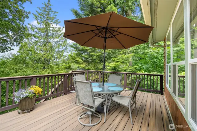 big deck with timbertech