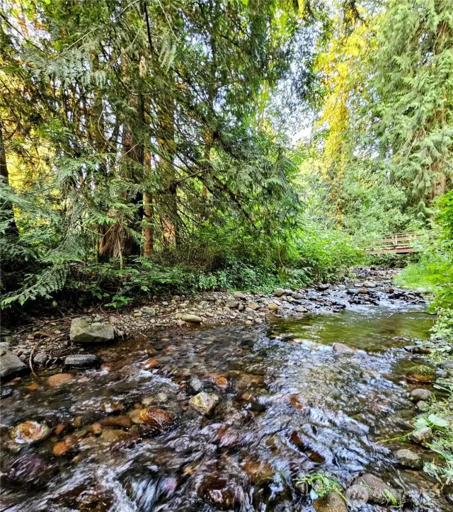 Embrace the tranquility of your own private creek, nestled on nearly 2 acres of endless possibilities. This peaceful retreat offers the perfect blend of natural beauty and potential—your dream lifestyle starts here.